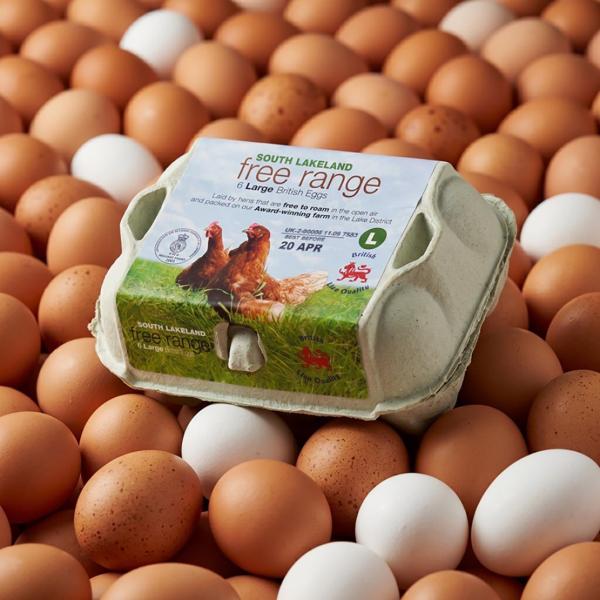 Eggs
